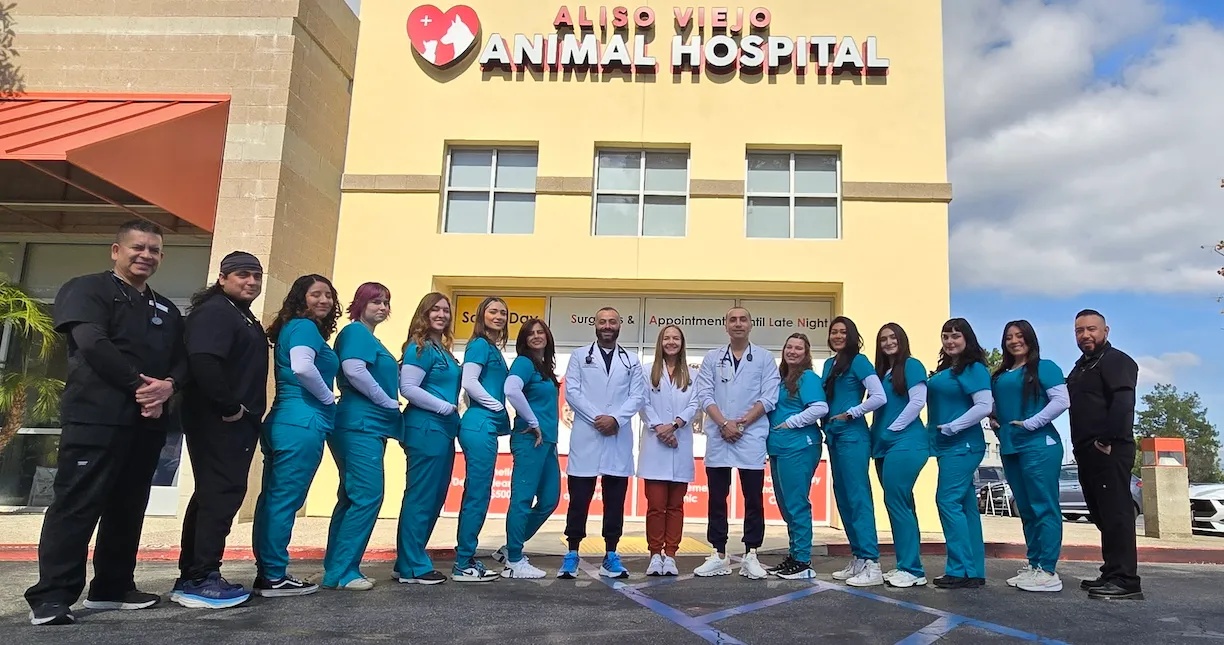 Aliso Viejo Animal Hospital Services